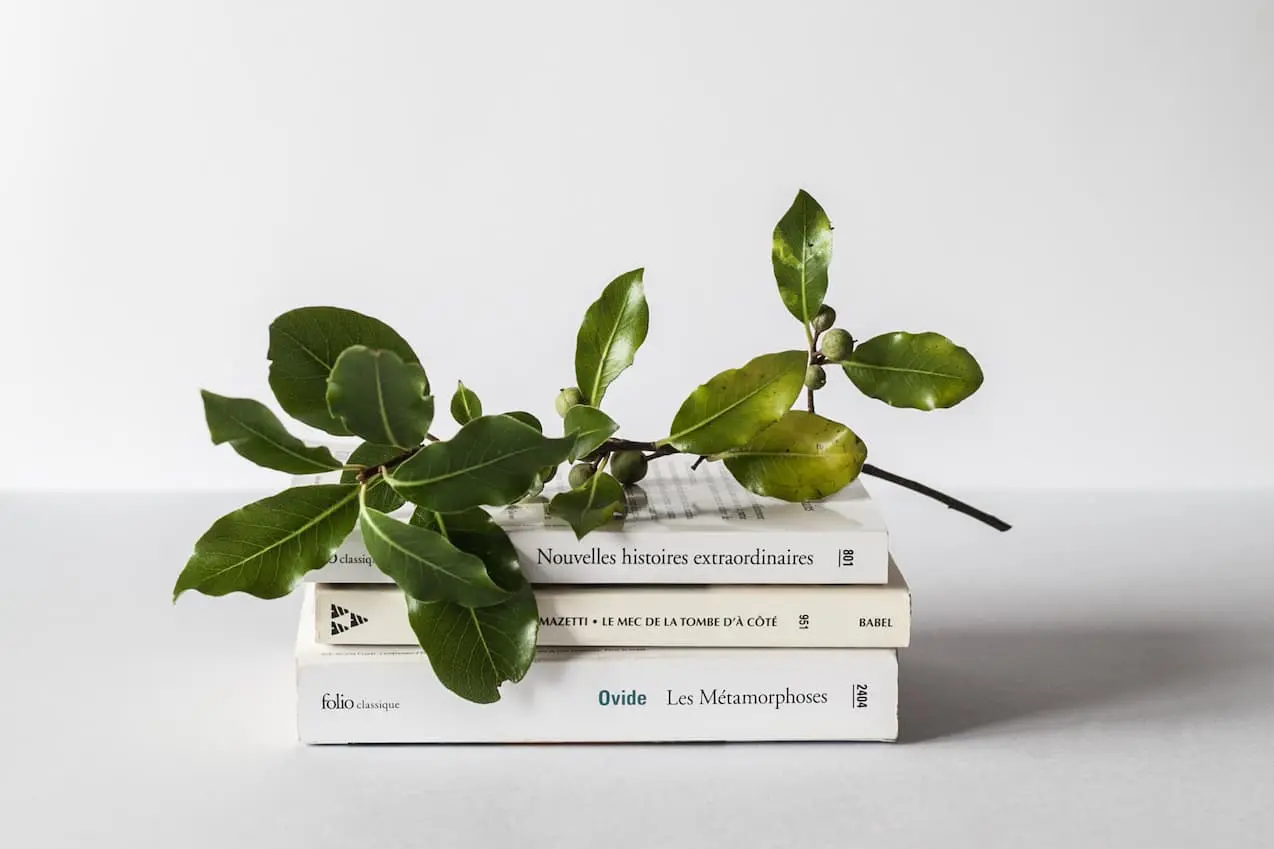 Hutarino Furniture main image