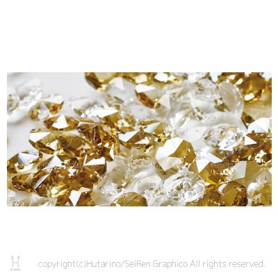 LT-1316 Follega フォレガ デザインパーツの写真