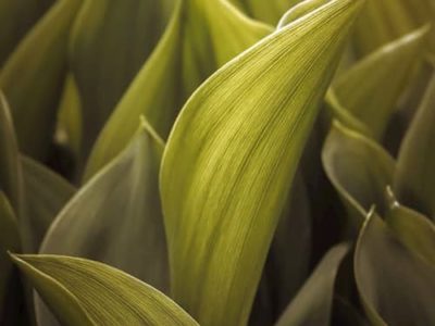 GW休業のお知らせ