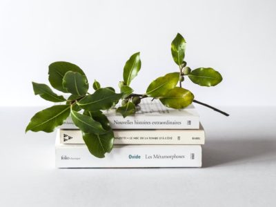 hutarino リニューアル