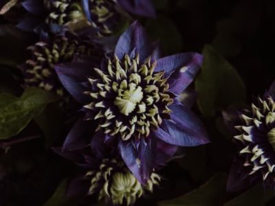 hutarino からのお知らせ