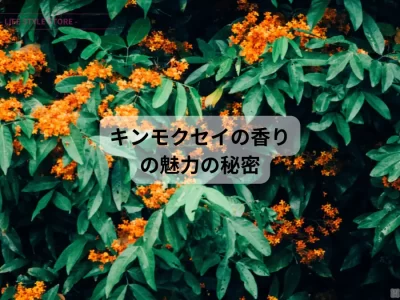 キンモクセイの香りの魅力