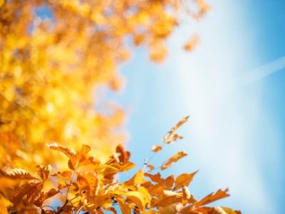 配送関係のお知らせ 2021年12月