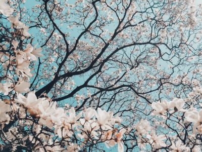 価格改定のお知らせ