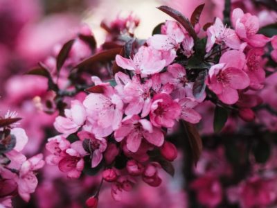 ゴールデンウィークお休み