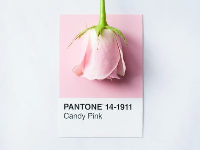 2023年1月棚卸し