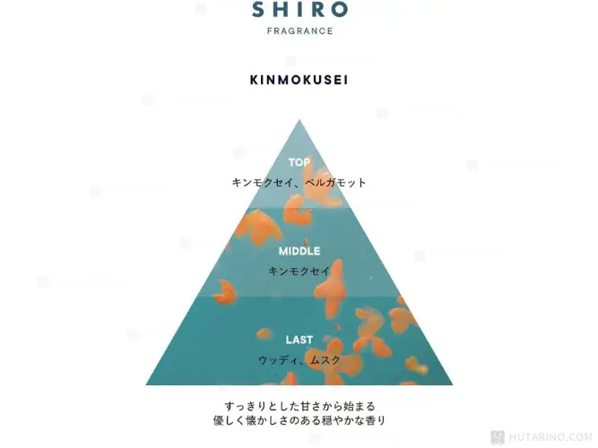 SHIRO キンモクセイ フレグランスディフューザー(容器+リキッド+スティック 3点セット) 180mL 2ヶ月目安 ルームフレグランス 香りのピラミッド