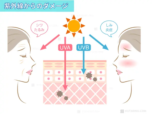 紫外線のお肌のダメージを説明するイラスト