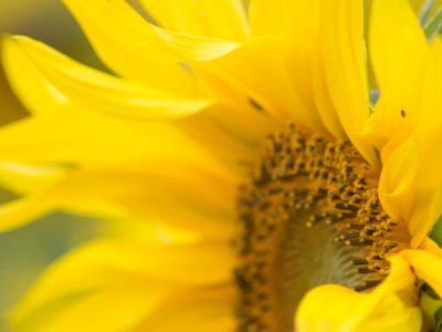 2023年8月の配送関係のお知らせ