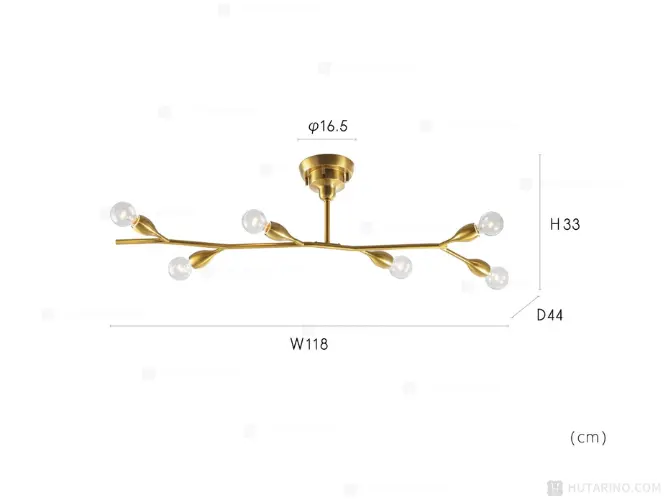 No Image Description