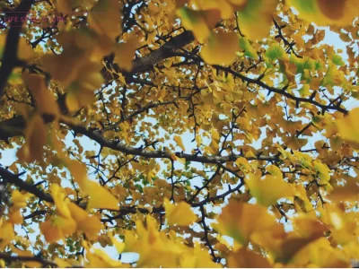 フタリノ棚卸し予定 2023年12月