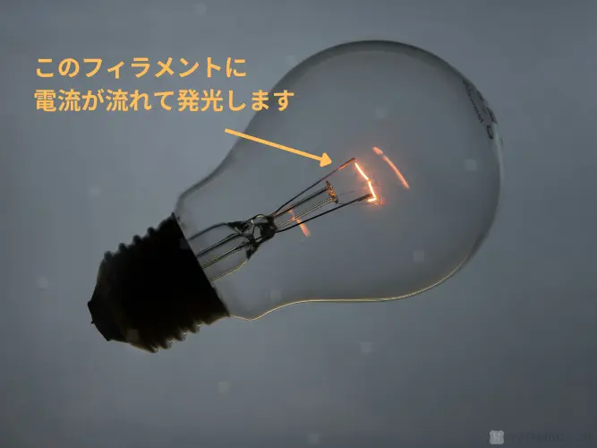 白熱球の選び方 失敗しないポイントまとめ