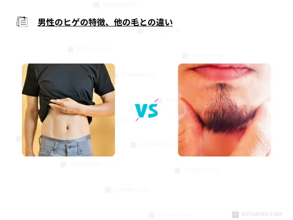 男性のヒゲと他のムダ毛の質の違いを説明する写真
